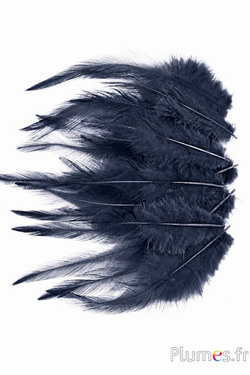 Haan - 8-12 cm -  antraciet